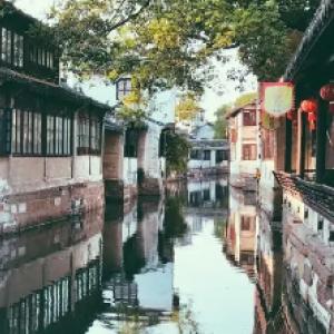 动物帮帮忙保卫家园
